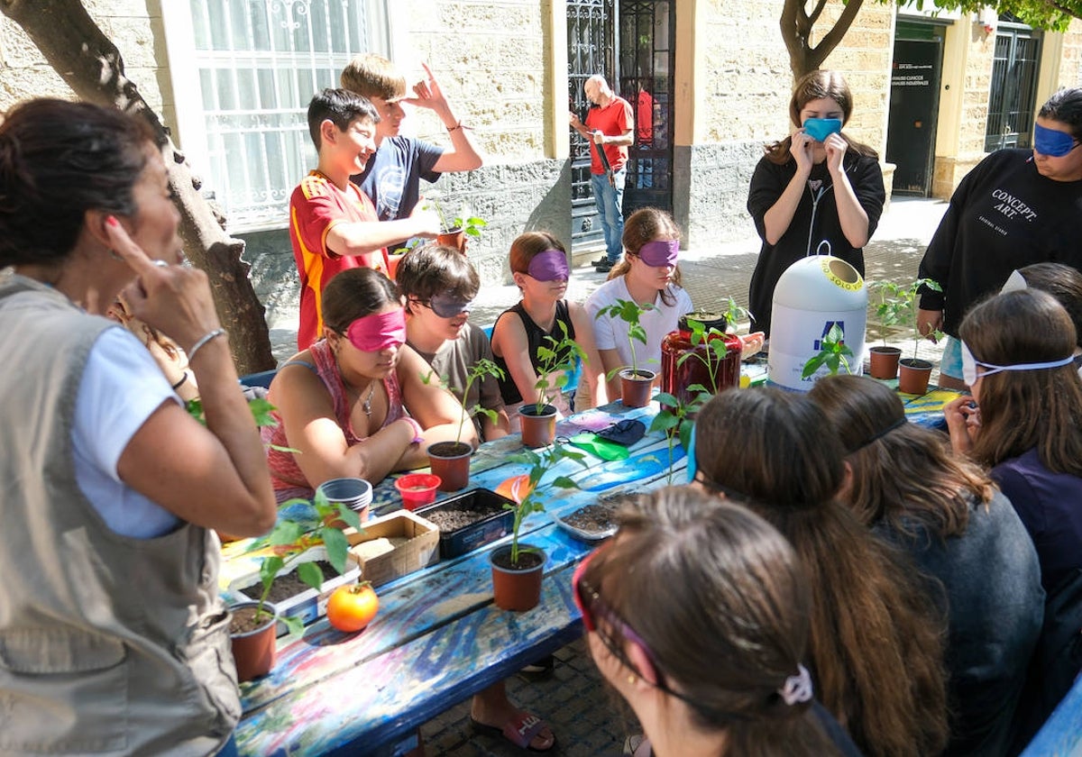 Fotos: Las imágenes de la Feria de Promoción de la Salud y Bienestar de Cádiz