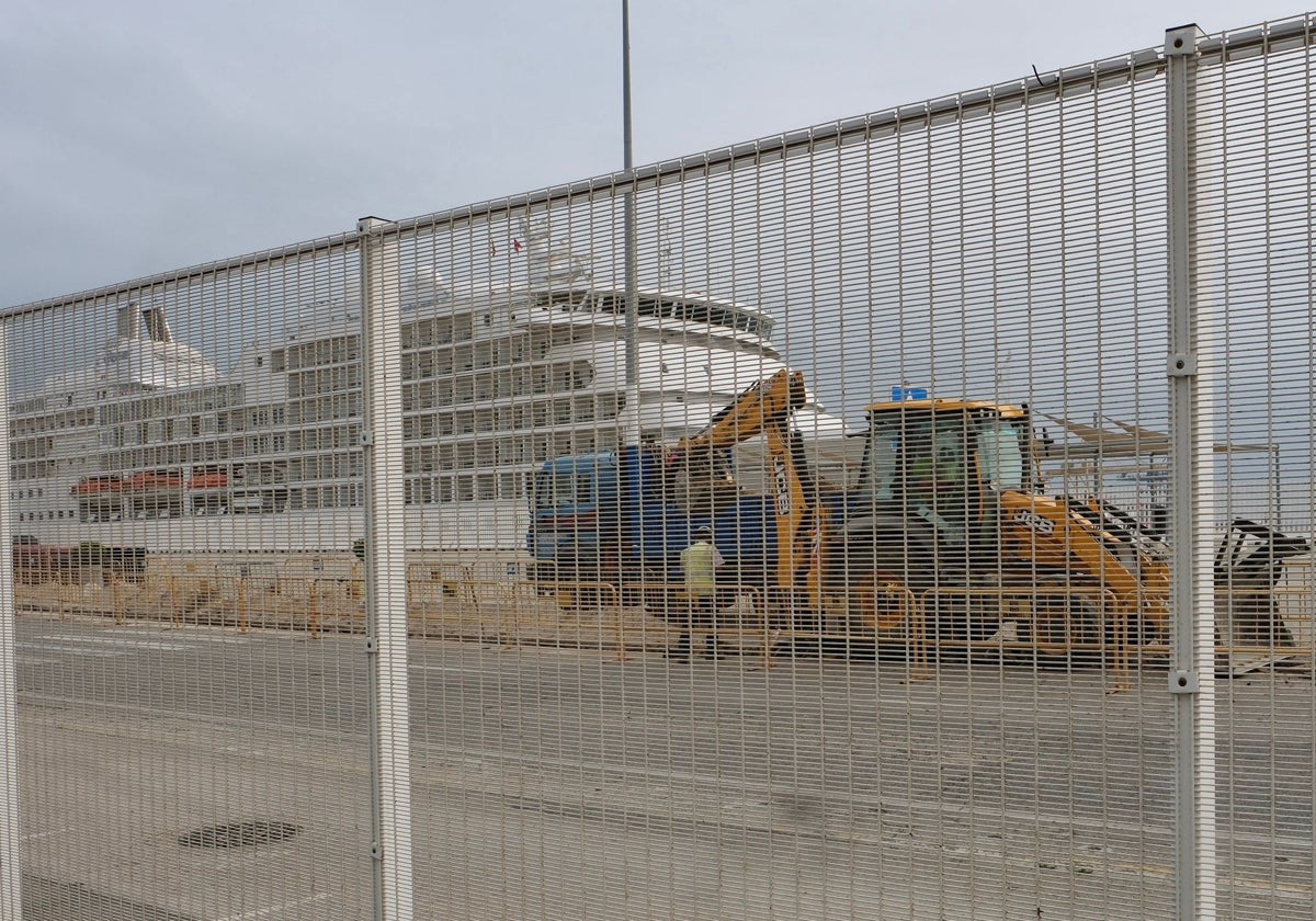 Las excavadoras ya trabajan en suelo portuario.