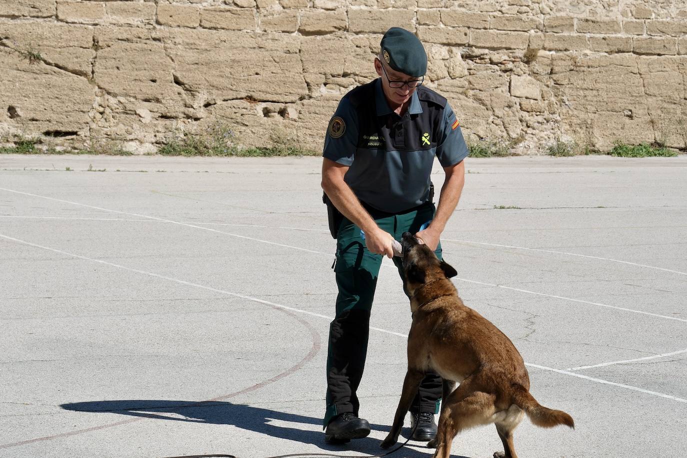 Los animales de compañía protagonizan la campaña sobre tenencia responsable de mascotas en Cádiz