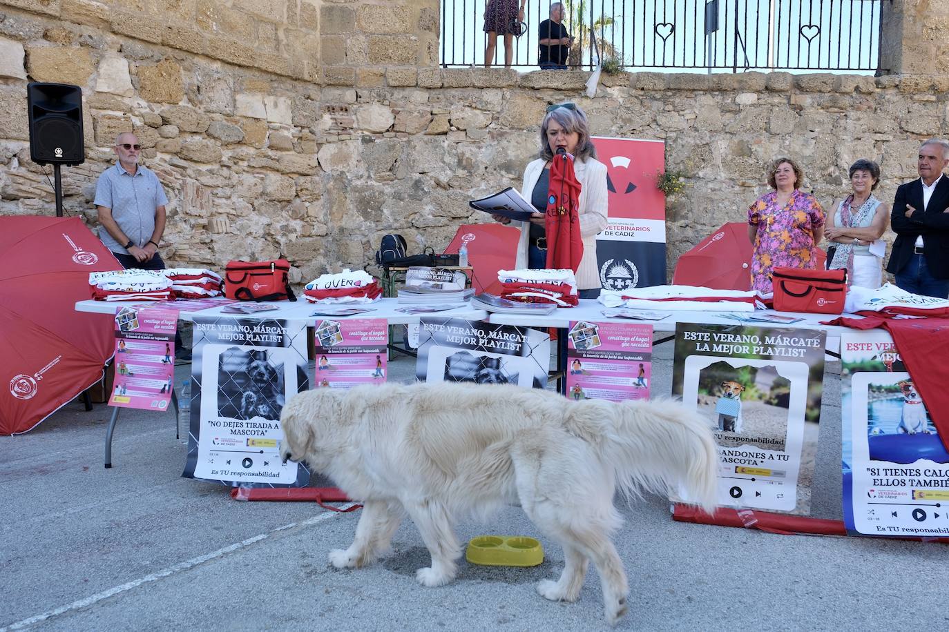 Los animales de compañía protagonizan la campaña sobre tenencia responsable de mascotas en Cádiz