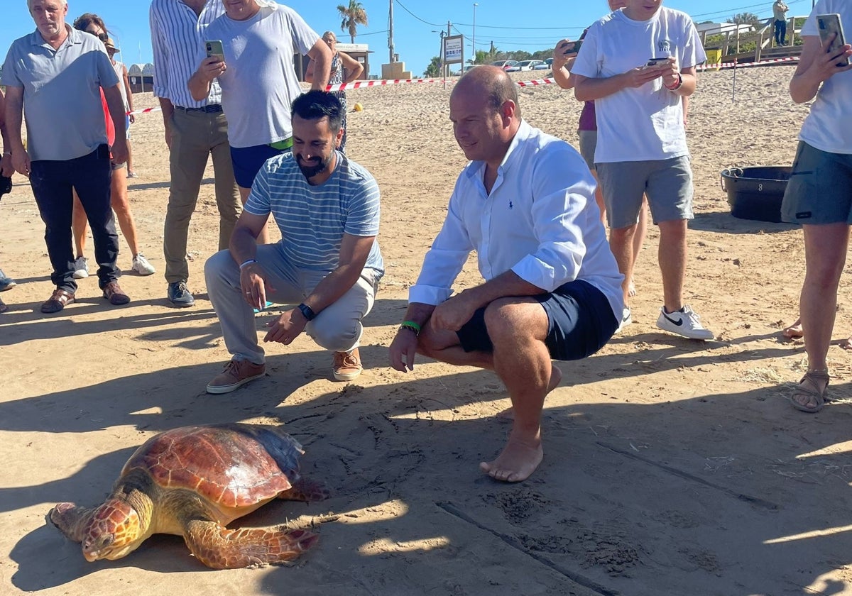 Liberadas dos tortugas marinas en la playa de la Tres Piedras