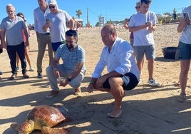 Liberadas dos tortugas marinas en la playa de la Tres Piedras