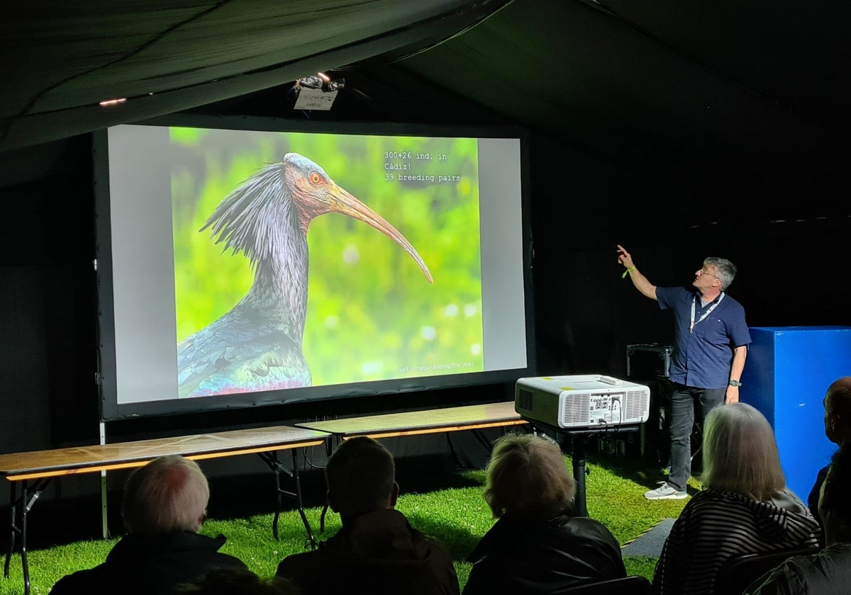 Diputación promociona el liderazgo de Cádiz en turismo ornitológico en la feria Global BirdFair