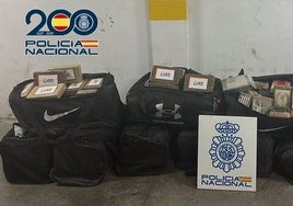 Intervenidos 440 kilos de cocaína en el puerto de Algeciras en un contenedor que transportaba palmito