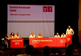 El Comité Provincial del PSOE de Cádiz respalda a Chaves y Griñán y a los que sufrieron «la cacería del PP»