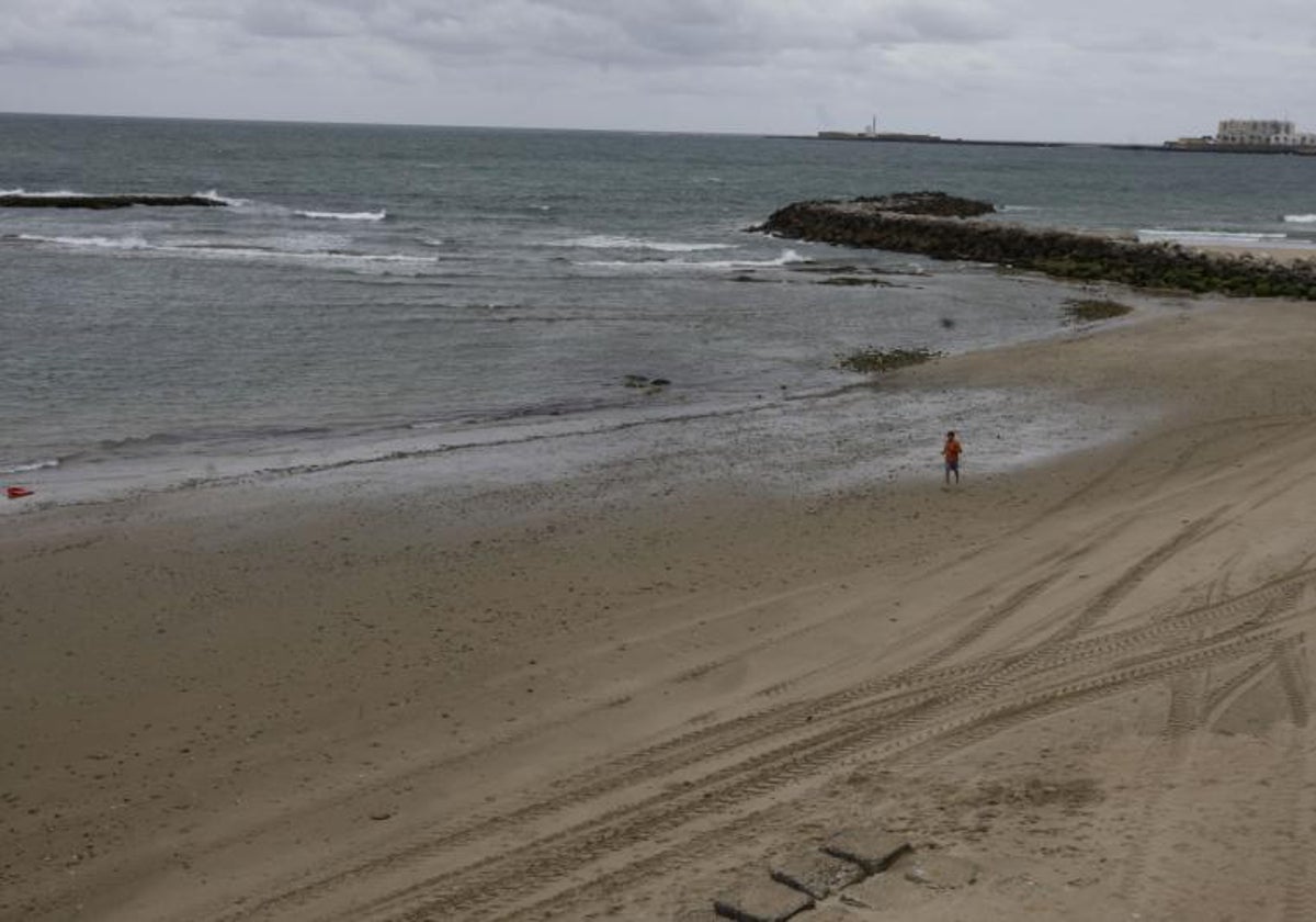 Greenpeace advierte que para 2030 se esperan «impactos muy graves» en la costa de Cádiz