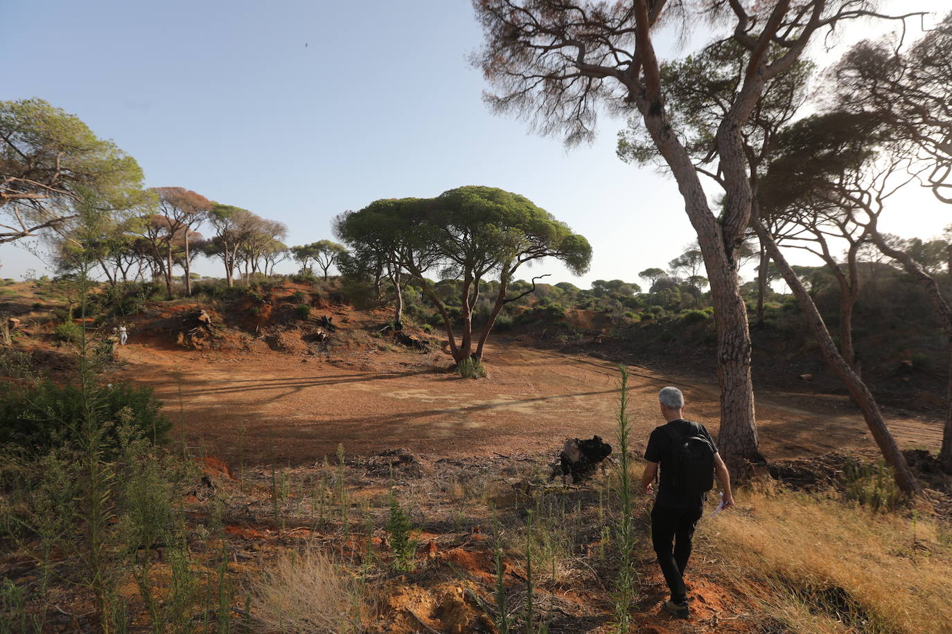 Fotos: Así se encuentra el parque de Las Canteras un año después del incendio