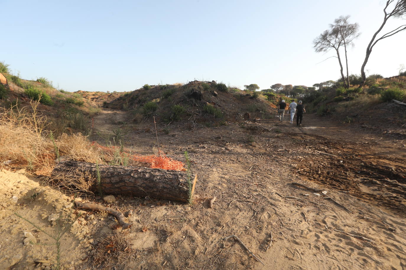 Fotos: Así se encuentra el parque de Las Canteras un año después del incendio