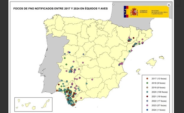 El virus del Nilo llega a Cádiz: estos son los síntomas, trampas y vigilancia del mosquito