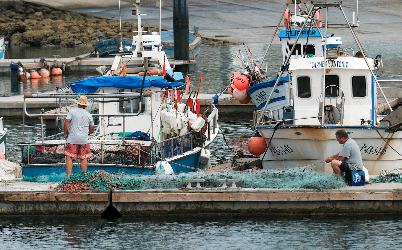 Fotografías de un drama: el alga asiática pasa &#039;factura&#039; a los pescadores de Conil