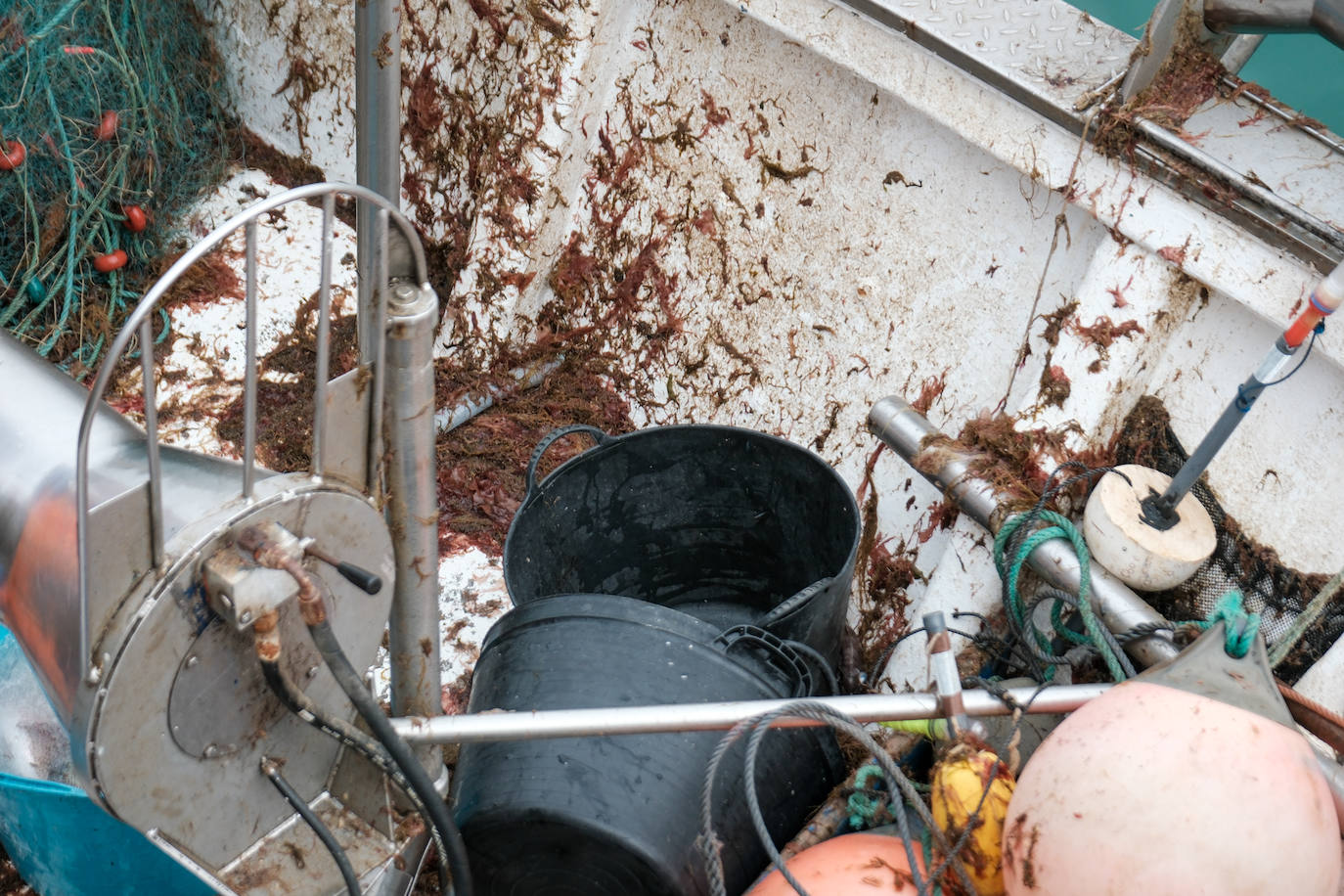 Fotografías de un drama: el alga asiática pasa &#039;factura&#039; a los pescadores de Conil