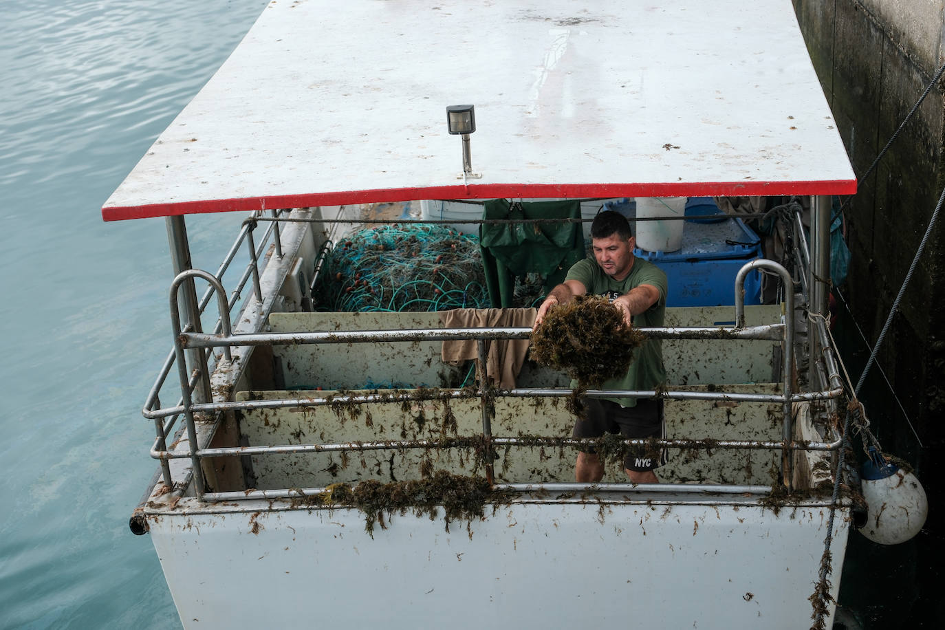 Fotografías de un drama: el alga asiática pasa &#039;factura&#039; a los pescadores de Conil