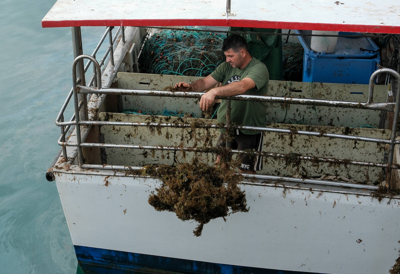 Fotografías de un drama: el alga asiática pasa &#039;factura&#039; a los pescadores de Conil