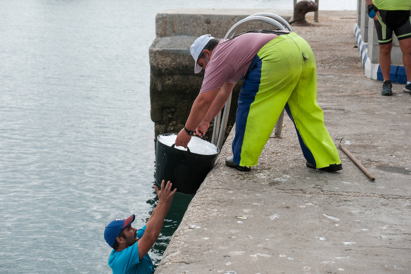 Fotografías de un drama: el alga asiática pasa &#039;factura&#039; a los pescadores de Conil