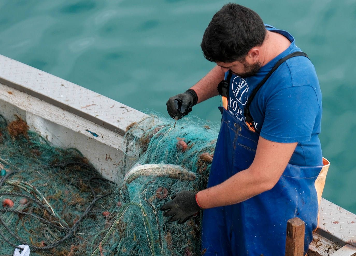 Fotografías de un drama: el alga asiática pasa &#039;factura&#039; a los pescadores de Conil