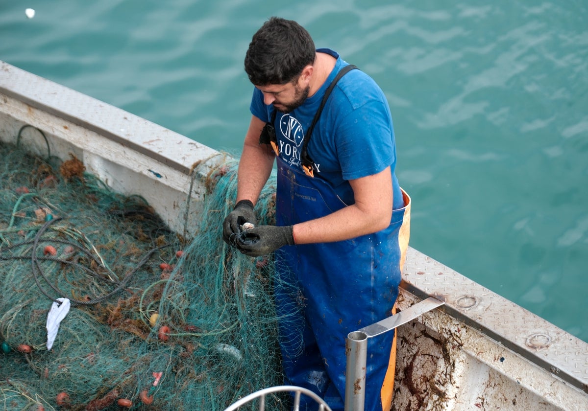 Fotografías de un drama: el alga asiática pasa &#039;factura&#039; a los pescadores de Conil