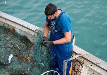 Fotografías de un drama: el alga asiática pasa 'factura' a los pescadores de Conil