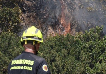 El Gobierno aprueba una ayuda de 11.400 euros a Puerto Real para paliar daños por el incendio en Las Canteras