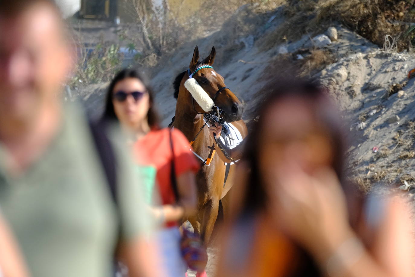 Fotos: Brillante doblete de Jaime Gelabert en las carreras de caballos de Sanlúcar