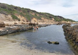 Las maravillosas piscinas de Baelo Claudia, en Tarifa, 'invadidas' por las algas