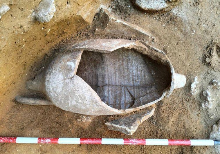 Fotos: Estos son los nuevos enterramientos hallados en el solar de Procasa de la calle Marqués de Cropani de Cádiz