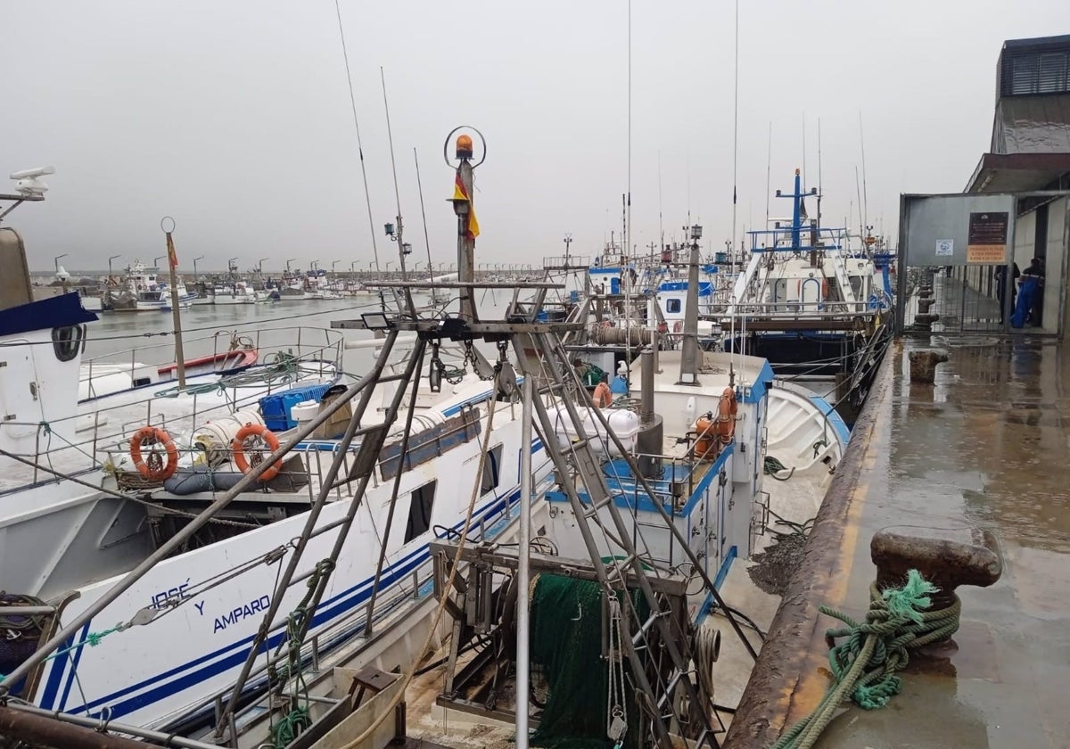 Barcos pesqueros en el puerto de Sanlúcar