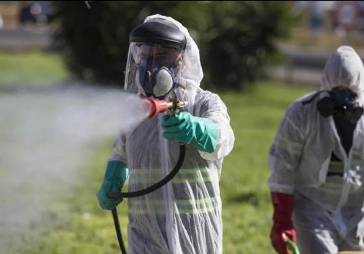 Un operario haciendo trabajos de fumigación