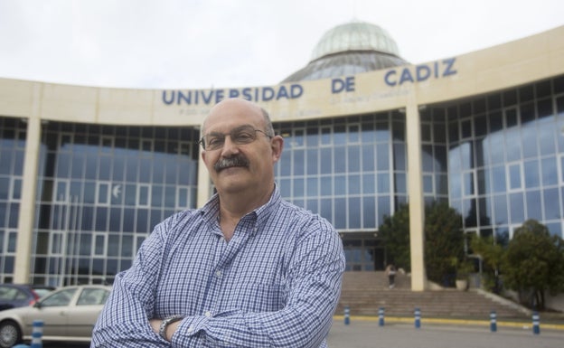 ¿Por qué hay tantas medusas en las playas de Cádiz este verano?