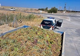 La Guardia Civil  pone en marcha un año más el dispositivo de vigilancia de los transportes con motivo de las labores de la vendimia