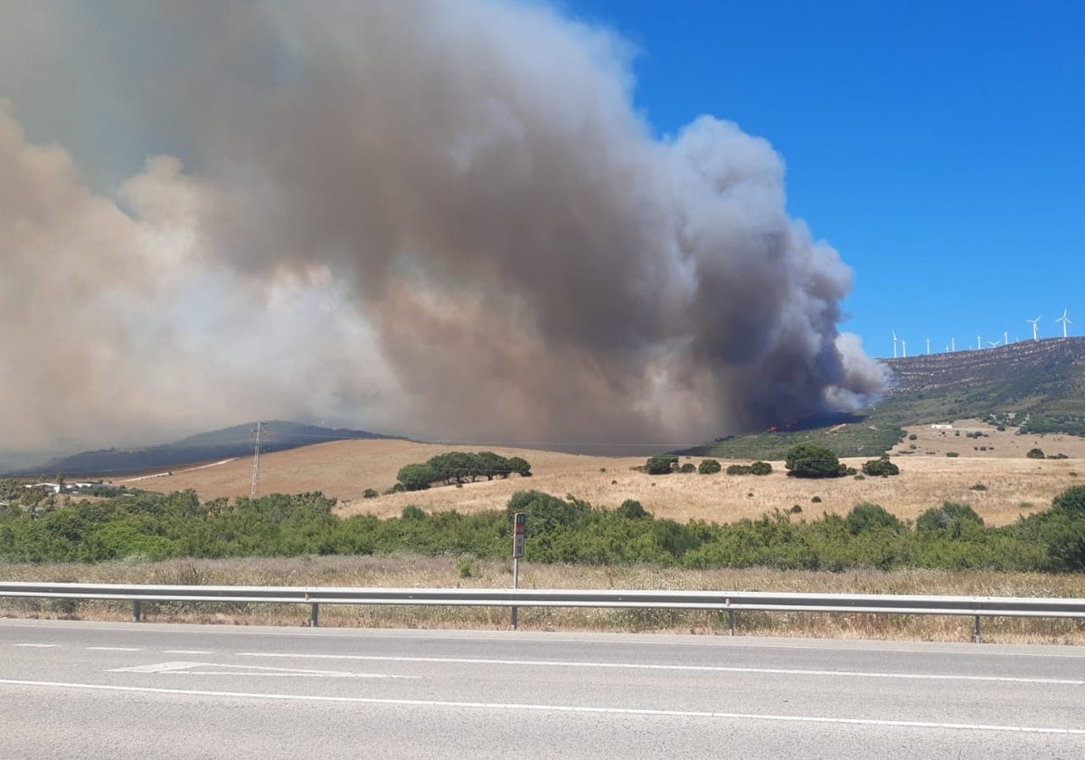 Incendio forestal en Tarifa del pasado mes de junio