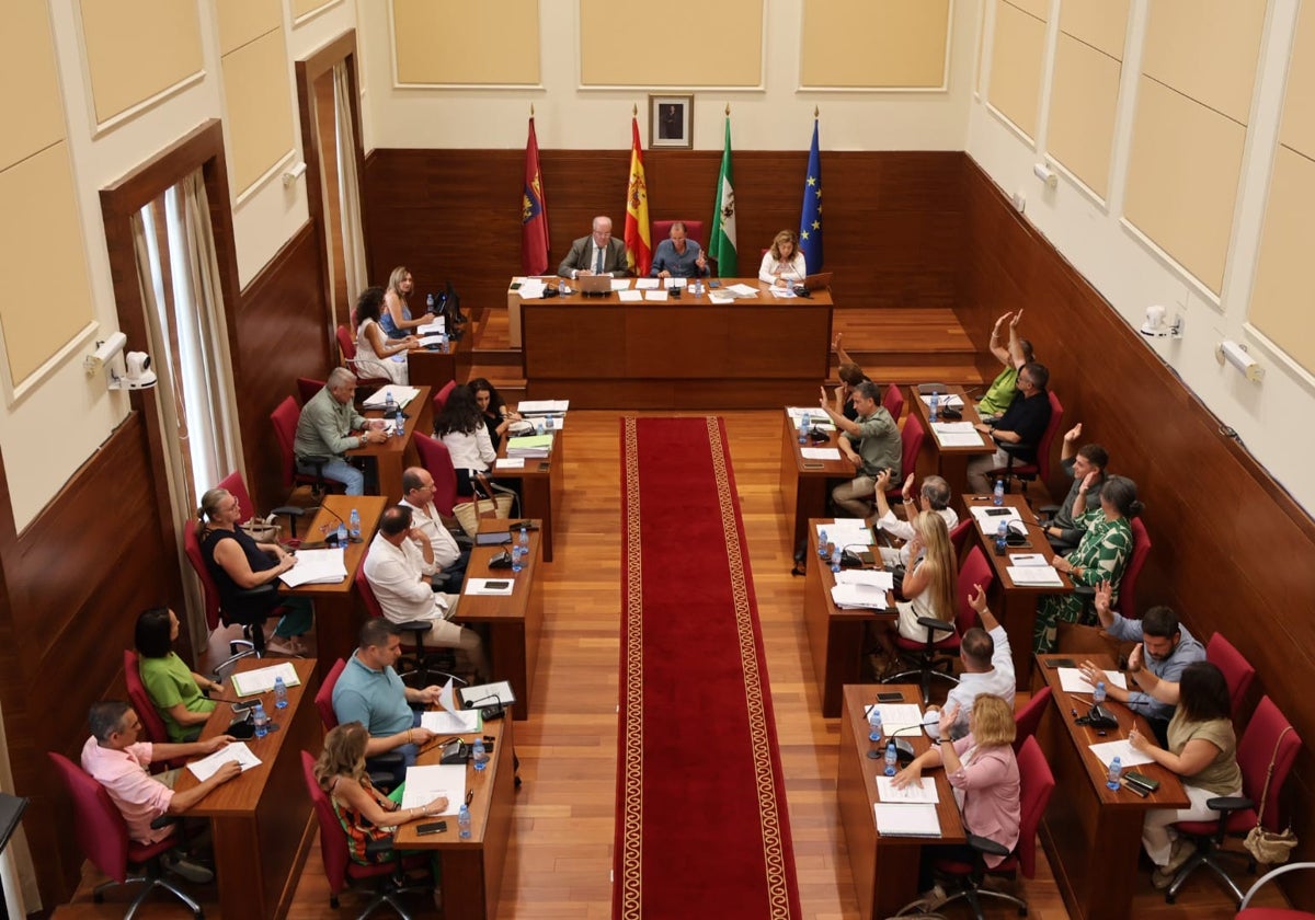 División en el Pleno de Chiclana por el Pinar de Hierro