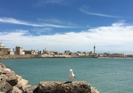 Septiembre en Cádiz: ¿también será verano?