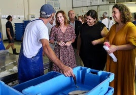 El puerto de Conil, uno de los de mayor actividad de la provincia, un tesoro con funcionalidad pesquera y náutica-deportiva