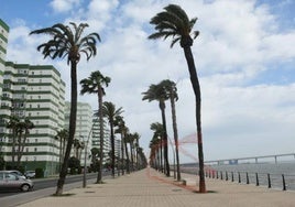 El tiempo en Cádiz: activada la alerta amarilla por fuerte viento en la provincia