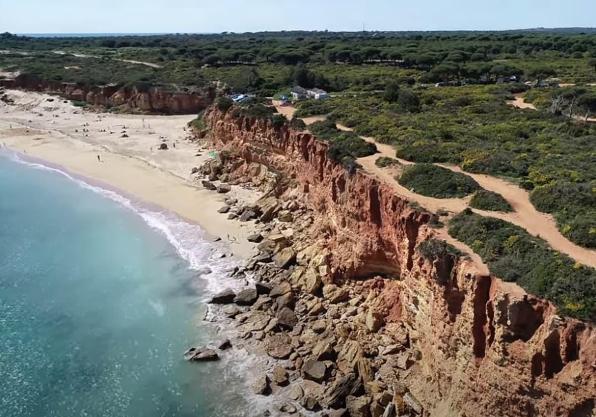 Cala del Aceite en Conil