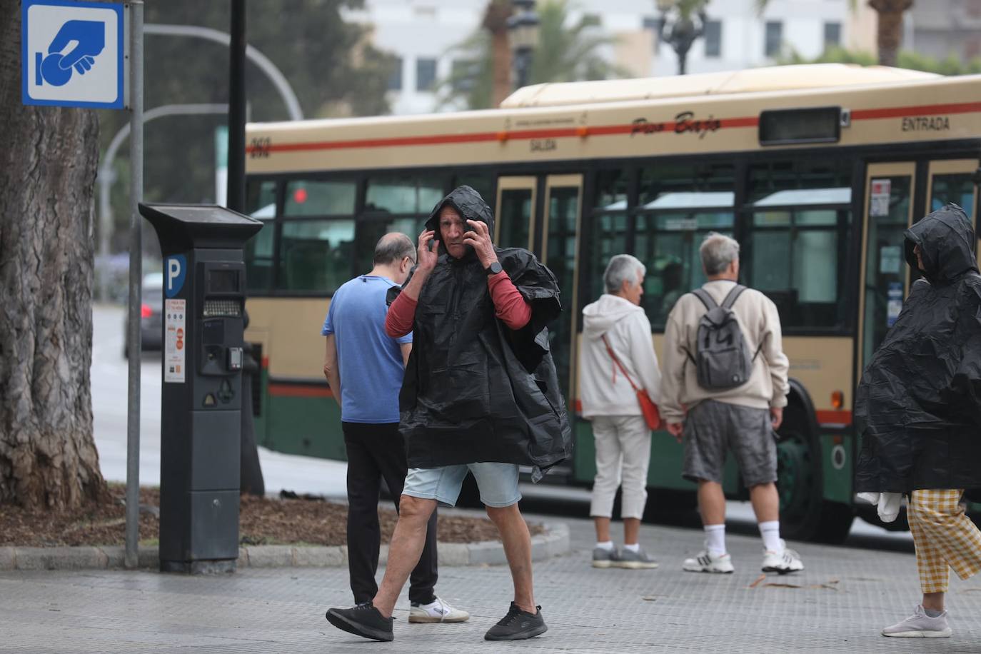 Fotos: Más de 8.000 turistas han llegado este jueves al puerto de Cádiz