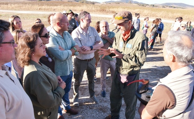 De vuelta a casa: el ibis eremita regresa a Cádiz después de completar un viaje épico de 2.800 kilómetros desde Austria