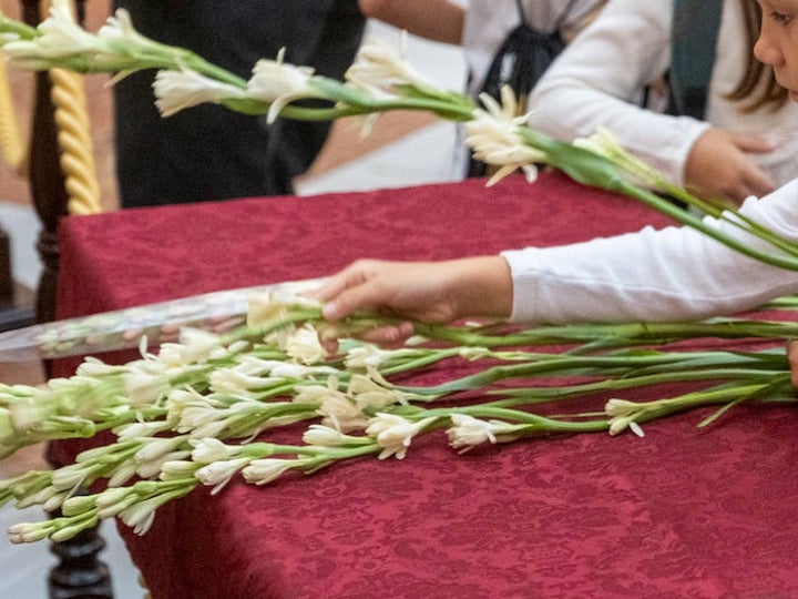 Fotos: Baño de nardos para la Virgen del Rosario de Cádiz