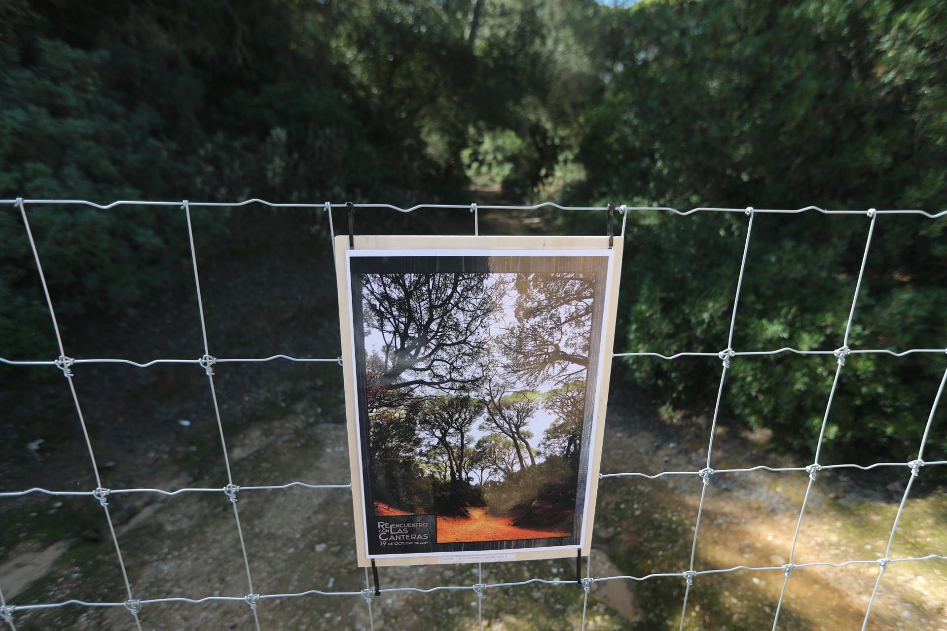 Fotos: Las Canteras reabre parcialmente tras más de un año del incendio