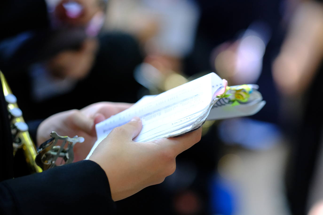 Fotos: Las mejores imágenes de la Magna de Jerez