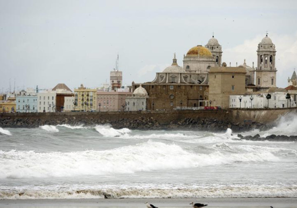 Estudiantes de Sevilla asisten en Cádiz a una jornada sobre el riesgo de tsunamis