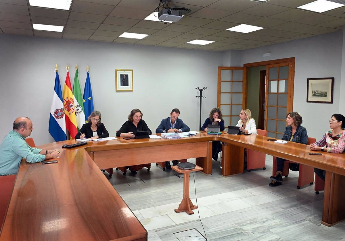 La delegada de Urbanismo en el Ayuntamiento de Jerez, Belén de la Cuadra, en la reunión del Consejo de Administración de Emuvijesa.