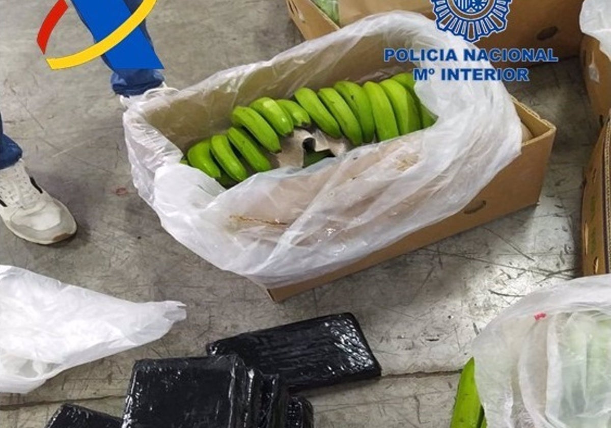 Cocaína intervenida en cajas de plátano