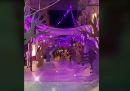 El Puerto crea un bosque encantado en plena calle para la celebración de Halloween 2024: «Una pasada»