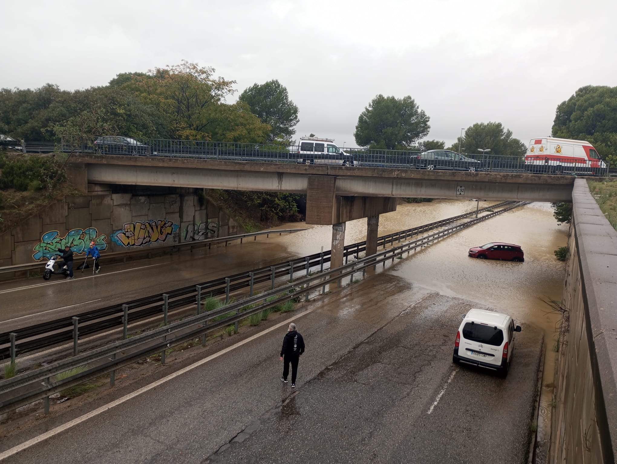 Fotos: la provincia de Cádiz, inundada