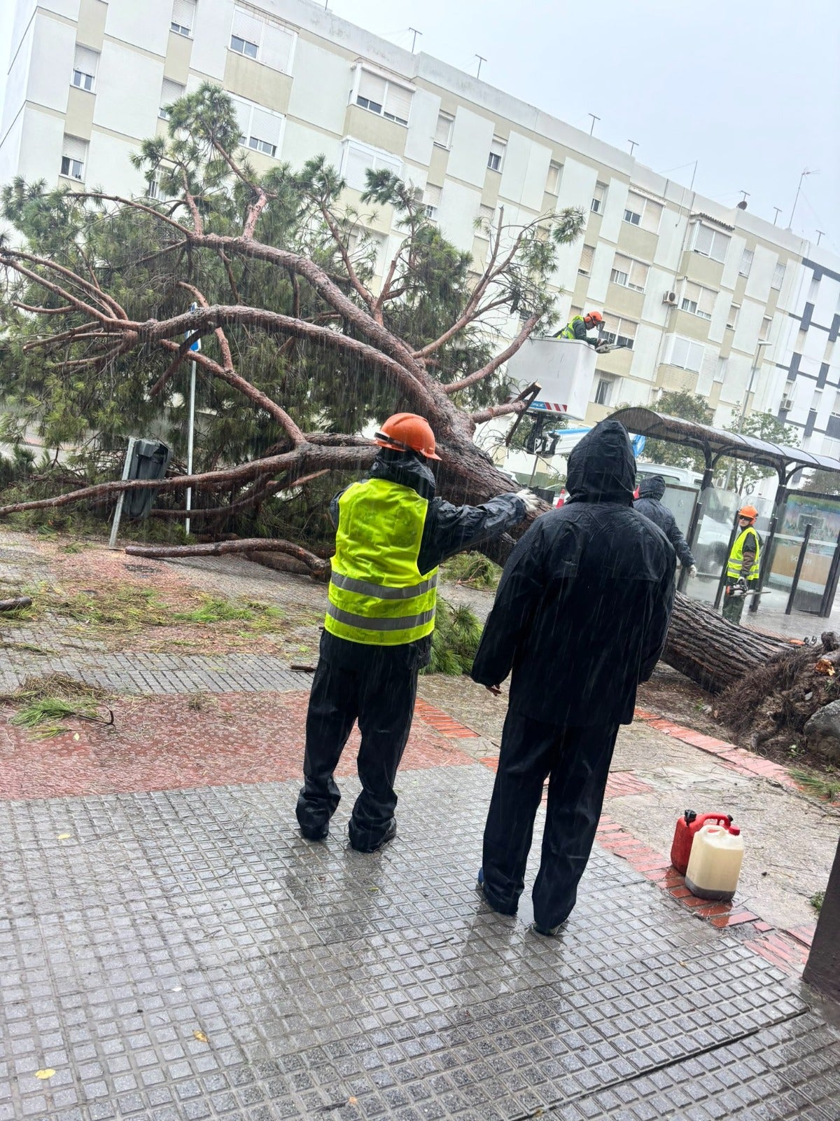 Fotos: la provincia de Cádiz, inundada