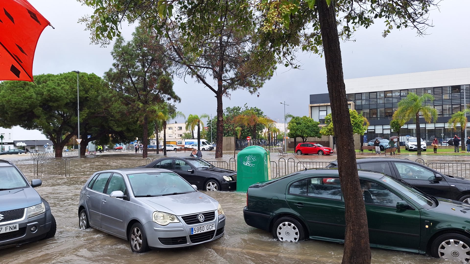 Fotos: la provincia de Cádiz, inundada