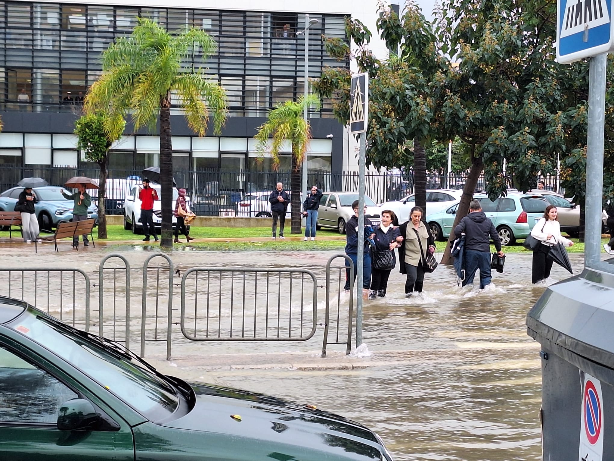 Fotos: la provincia de Cádiz, inundada