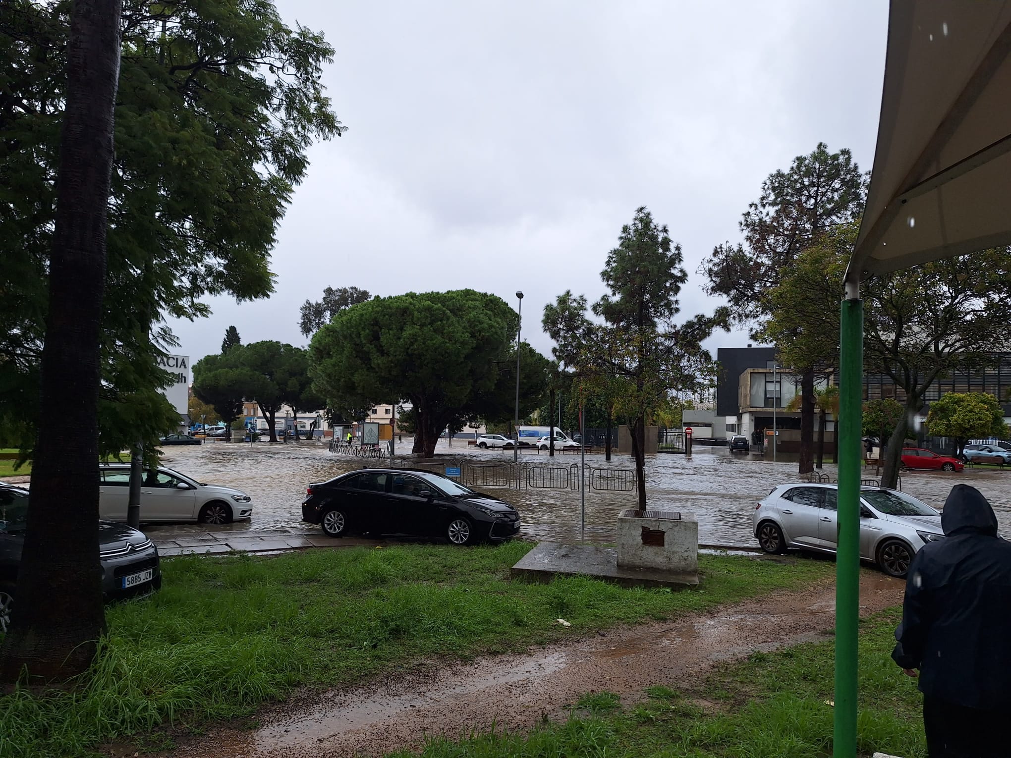 Fotos: la provincia de Cádiz, inundada