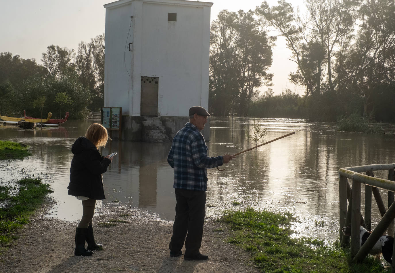 Fotos: Jerez trata de recuperar la normalidad después de las lluvias y la crecida del Guadalete